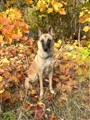 IMG_1807.jpeg
